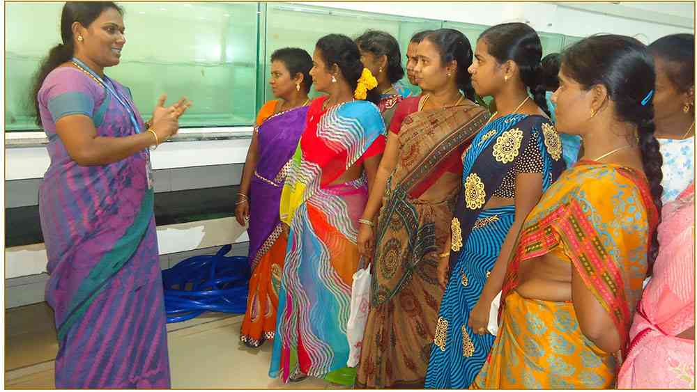 SWAYAM: Ornamental Fish Culture